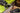 Chainsaw Files & Grinding